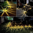 DenicMic Solar Lights Outdoor Pathway Lights 3000K LED Waterproof Acrylic Lamp Head Stainless Steel Stake for Yard Garden Landscape Path Walkway Driveway Patio Lawn (Warm White 10Pack) by GreenHaven Gardens