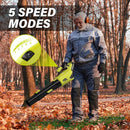 SEYVUM 20V String Trimmer and Leaf Blower Combo Kit, 12-inch Cordless Weed Trimmer with 6 Pcs Grass Cutter Spool Line, 500 CFM Electric Leaf Blower for Lawn Care with 2 X 4.0Ah Battery and Charger by GreenHaven Gardens