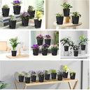 5 Pack 5 inch Self-Watering Pots, African Violets Planter with Drainage Holes and Reservoir, Black Plastic Planter for Indoor Outdoor Plants Flowers and Houseplants Black, 5 inch 5 pcs by GreenHaven Gardens