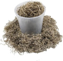 Premium Natural Spanish Moss | Natural Preserved - Great Ground Cover - Filler for Potted Plants - by GARDENERA - 2 Quart Bag by GreenHaven Gardens