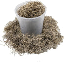Premium Natural Spanish Moss | Natural Preserved - Great Ground Cover - Filler for Potted Plants - by GARDENERA - 5 Quart Bag by GreenHaven Gardens