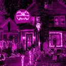 HISHINY Halloween Lights Outdoor,100LED 5ftx5ft Purple Net Lights with Connectable, Waterproof,UL Certified and Durable Green Wire Design for Bushes,Trees, Outdoor Indoor Party Decorations(Purple) by GreenHaven Gardens