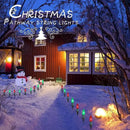 C9 LED Christmas Lights Outdoor with stakes, 25.7ft 20 LED Strawberry String Lights, Connectable Shatterproof Pathway Lights Marker for Path, Lane, Patio, Xmas Holiday Decorations, Red and Green by GreenHaven Gardens