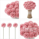 Kimura's Cabin 20Pcs Fake Chrysanthemum Artificial Silk Ball Flower Faux Mums Flowers Bouquets for Wedding Party Home Kitchen Table Decor DIY Decoration (Dark Pink) by CozyNest Decor