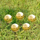 Nerien Gazing Ball, 2 Inch Stainless Steel Garden Mirror Globe, Polished Ornament Sphere, Hollow Floating Reflective Hemisphere, for Home Outdoor Pond Housewarming Swimming Decoration, Gold, 5pcs by GreenHaven Gardens