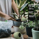 Plant Watering Globes - Olla Terracotta Watering Spikes - Hold 16 Ounces - Olla Water System for Plants - Self Water Method - Slow Releaese Drip Irrigation Terracotta Stakes by GreenHaven Gardens