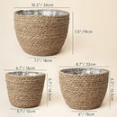 La Jolíe Muse Seagrass Planter Basket Indoor, Flower Pots Cover, Plant Containers, Natural(3-Pack) 10.2"+8.7"+6.7" by GreenHaven Gardens