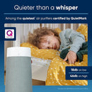 BLUEAIR Air Purifiers for Bedroom, HEPASilent Air Purifiers for Home, Air Purifiers for Pets Allergies Air Cleaner, Smart Air Purifier, Small Room Air Purifier, Virus Air Purifier, Blue Pure 411i Max by TinyTreasures Baby Boutique