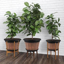 Quarut Large 4 Pack 14 inch Plant Pots,Whiskey Barrel Planters with Drainage Holes & Saucer,Plastic Decoration Flower Pots Retro Design,Planters for Outdoor Indoor Garden Balcony Plants (Brown) by GreenHaven Gardens