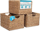 BIRDROCK HOME Storage Shelf Organizer Baskets with Handles - Handwoven Abaca Seagrass Wicker Basket for Pantry, Living Room, Office & Bathroom, Versatile Under Shelf Storage - Set of 3, Natural by CozyNest Decor