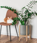 D'vine Dev Ceramic Planter with Natural Stand - 10 Inch Modern Round Flower Pot with Wood Planter Holder, Grey, 55-B-K-3 by CozyNest Decor