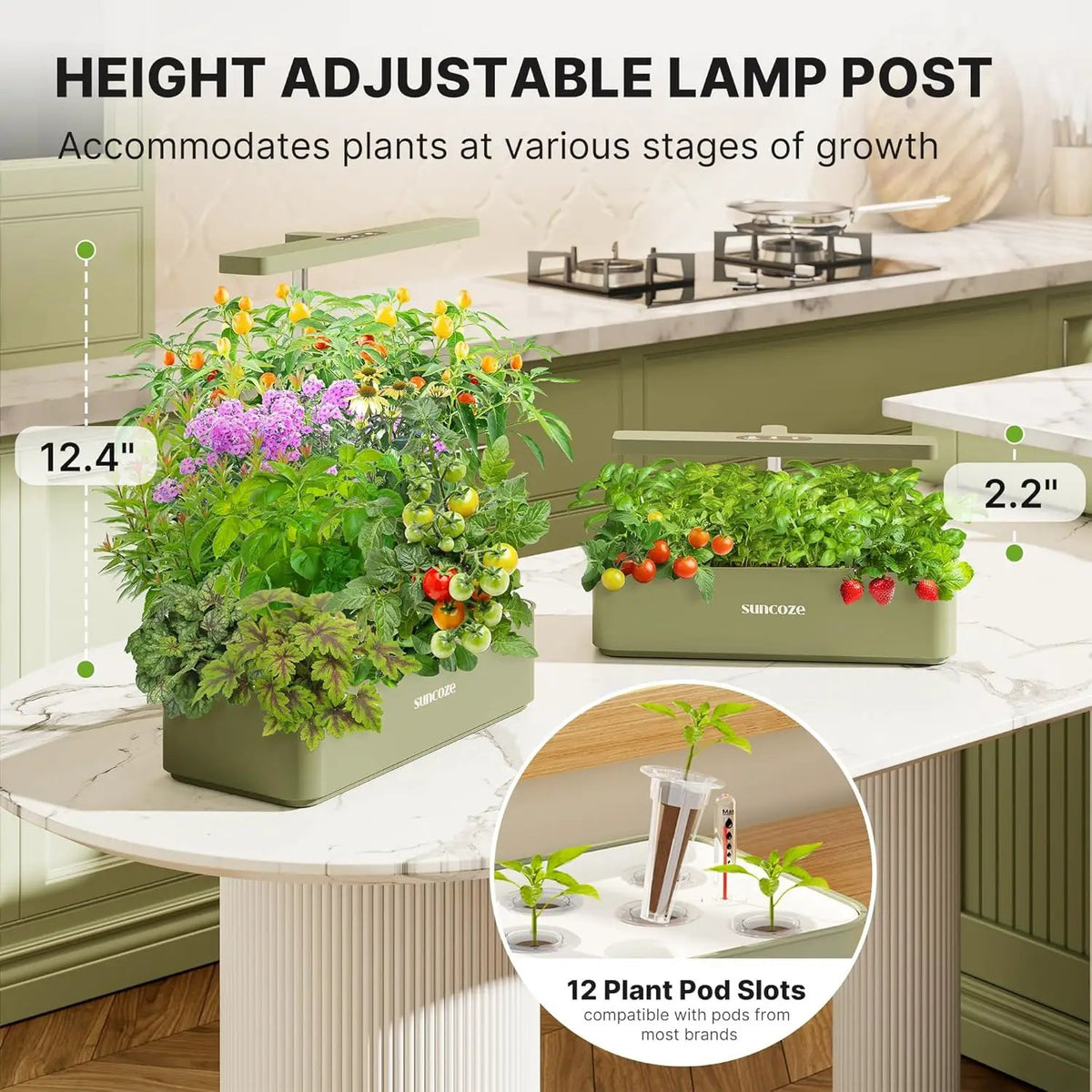 SUNCOZE Hydroponics Growing System Kit 12 Pods, 24W LED Grow Light Indoor Garden, 4L Water Tank with Quiet Pump, Adjustable Height Herb Garden Planter Indoor Kit, Gardening Gifts, Green, photo 3 of 6