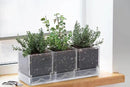 D'vine Dev Herb Garden Planter Set, Plastic Plant Pots with Drainage and Saucer, Indoor Succulent Cactus Vegetable Pot for Windowsill, Garden Balcony, Clear, Set of 1, 76-V-D-1 by GreenHaven Gardens