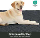 Stiio Dirt Trapper Door Mat 24x35.5 Inches, Front Doormat Indoor Outdoor Entrance Low Pile, All-Season, All-Weather Absorbent Entry Rug, Washable Non Slip Rug for Entryway, Dark Grey by CozyNest Decor