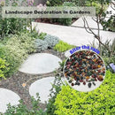 15LB Succulents Rocks for Plants Cactus Gravel Pebbles for Fish Tank 1/2 Inch Natural River Rocks for Vase, Aquarium, Landscaping,Bonsai,Terrarium Pebbles, Mixed Color by GreenHaven Gardens