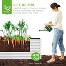 Best Choice Products 8x4x2ft Outdoor Metal Raised Garden Bed, Deep Root Planter Box for Vegetables, Flowers, Herbs, and Succulents w/ 478 Gallon Capacity - White by GreenHaven Gardens