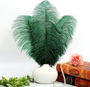 THARAHT Blackish Green Ostrich Feathers 12pcs Large Natural Bulk 16-18Inch 40cm-45cm for Wedding Party Centerpieces Mardi Gras Decoration Feather by CozyNest Decor