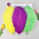 THARAHT Mix Colour Ostrich Feathers 12pcs Natural Bulk 10-12Inch 25cm-30cm for Wedding Party Centerpieces Easter Gatsbi and Home Decoration Feathers by CozyNest Decor