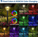CINOTON 2 Pack RGBCW Solar Pathway Outdoor Lights, 3 Lighting Modes Solar LED Garden Light, IP65 Waterproof Outside Solar Powered Landscape Lighting for Patio Walkway Yard Driveway RGB/Warm/Cold White by GreenHaven Gardens