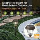XMCOSY+ Solar Lights Outdoor 10/25 LM LED with 2 Lighting Modes, Solar Garden Lights Glass and Metal, IP65 Waterproof Solar Powered for Yard Pathway Walkway Driveway Patio (6 Pack, Warm White) by CozyNest Decor