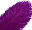 THARAHT 12pcs Purple Ostrich Feathers Natural Bulk 16-18Inch 40cm-45cm for Wedding Party Centerpieces Easter Gatsby and Home Decorate Ostrich Feather by CozyNest Decor