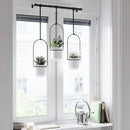 Umbra Triflora Hanging Planter for Window, Indoor Herb Garden, Set of 3, White/Black by GreenHaven Gardens