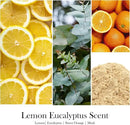 Scented Candles for Home - Lemon Eucalyptus Candle | Aromatherapy Candle Gift for Women & Men, Soy Candles for Home Scented - 7oz, Soy Wax by CozyNest Decor