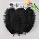 THARAHT Black Ostrich Feathers 24pcs Natural Bulk 8-10Inch 20cm-25cm for Crafts Wedding Party Centerpieces Halloween and Home Decoration Feathers by CozyNest Decor
