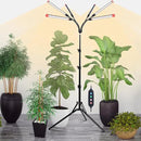 6-Head Grow Lights for Indoor Plants with Stand 54W, LED Plant Grow Light for Tall Houseplants, Bonsai Tree, Full Spectrum Growing Lamp with 4,8,12 Hr Timer, 24"-64" Adjustable Height by GreenHaven Gardens