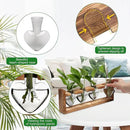 Plant Propagation Stations Heart Plant Terrarium Kit Gift for Women Plant Lover Glass Vases by GreenHaven Gardens