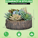 Premium Assorted Artificial Succulent Collection - Large Real Touch Artificial Cactus, Aloe Vera & Succulent Plants Artificial with Pots for Home Office Indoor (Artificial Tree Stump - Pot) by CozyNest Decor