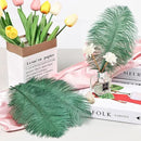THARAHT Blackish Green Ostrich Feathers 12pcs Natural Bulk 8-10Inch 20cm-25cm for Crafts Wedding Party Centerpieces Mardi Gras Decoration Feather by CozyNest Decor