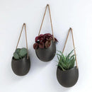 Wall Planters -Ellie- | Hanging Ceramic Plant Pots 3 Pieces | Wall Decoration for Indoors, Balcony and Garden | Graphite (Matte) by GreenHaven Gardens
