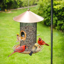 Bird Feeder for Outdoor, Metal Wild Bird Feeder Hanging Outside, 7.5" Copper Roof and 360 Degree Feeding Tray with 2 Extra Feeding Ports, 3 Lbs Bird Seeds Capacity by CozyNest Decor