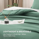Litanika Comforters Queen Size Haze Green, 3 Pieces Lightweight Solid Bedding Set & Collections, All Season Fluffy Bed Set (90x90 Inches Comforter & 2 Pillowcases) by CozyNest Decor