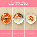 Omie® Easy Scoop Plates for Kids | Unique Design Helps Food Fall into the Spoon, Not on the Table | Made from Plants | 3 Plates + 2 Silicone Dividers | Pink by TinyTreasures Baby Boutique