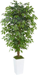 Artificial Ficus Tree 6FT Faux Floor Tree with Planter UV Resistant Potted Fake Silk Plant, Real Wood Trunk-Indoor Outdoor Lifelike Fake Ficus Tree for Home, Living Room Bedroom Topiary Tree by CozyNest Decor