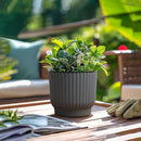 T4U 6 Inch Self Watering Pots for Indoor Plants, 6 Pack Planters for Indoor Plants, Durable Plastic Charcoal Gray Pots for Indoor Plants, African Violets, Flower by GreenHaven Gardens