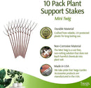 Twigs - Plant Support Stakes for Indoor, Outdoor & Climbing Plants, Gardening Supplies, Garden Accessories, Trellis & Ring Alternative, Made in USA - Begonia (Red), 10 Pack, 12" L, Mini Twigs by GreenHaven Gardens
