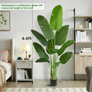 Faux Bird of Paradise Silk Artificial Plant Faux Banana Leaf Tree for Home Decor Indoor Floor Plant with 11 Trunks (1, Black Planter, 6.6 FT) by CozyNest Decor
