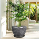 Ceramic Planters for Indoor Plants - 10 Inch Plant Pot with Drainage Hole and Saucer, Large Flower Pot for Home Decor, Gray by GreenHaven Gardens