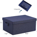 HOONEX Foldable Storage Bins with Lids, Pack of 2, Storage Boxes with 2 Carrying Handles and Heavy Cardboard, 16.5" L x 11.8" W x 7.5" H for Shoes, Clothes, Blue by TinyTreasures Baby Boutique