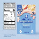 Gerber Stage 3 Baby Food Snacks, Banana Apple Blueberry Whipped Melts, Baby Led Feeding, 7PK by TinyTreasures Baby Boutique