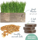 The Cat Ladies Cat Grass Kit Complete with Rustic Wood Planter, Organic Seed and Soil. Easy to Grow - Great for Indoor or Outdoor Cat, Dogs and Other Pets. Prevent Hairballs and Aid Digestion… by GreenHaven Gardens