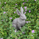 DiliComing Grey Resin Rabbit Garden Statue - Large Garden Statues for Home Yard Decor Garden Statues for Outside Balcony Bunny Decor for Garden Gifts 9 × 5 × 12 Inch by CozyNest Decor
