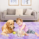 Plush Area Rug 4x5.8, Ultra Soft Rugs for Living Room, Fluffy Carpet Rugs for Bedroom, Non-Slip Indoor Rug for Nursery, Study Room, Playroom, Home Decor, Tie-Dyed Purple by TinyTreasures Baby Boutique