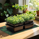 iPower Durable Seedling Heat Mat Warm 10" x 20" - 2 Pack Hydroponic Heating Pad Waterproof for Seed Starting Greenhouse and Germination by GreenHaven Gardens
