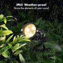 LemonBest Landscape Lighting - 6W RGB Color Changing Halloween Landscape Lights 120V Christmas Outdoor LED Spotlight with Remote Control Waterproof Spot Lights for Yard Garden Patio Driveway (2 Pack) by GreenHaven Gardens