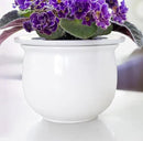 African Violet Pots Ceramic 6.5”W x 4.6”H Self Watering Planter for Indoor Flowers and Plants – White Glazed Outer Plant Pot with Highly Absorbent Inner Planter Pot for Tropical Plants by GreenHaven Gardens