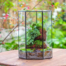 NCYP Wall Corner Geometric Glass Terrarium, Closed Front Opening Door Container Planter for Succulents, Small Plants - Black, Indoor Decor, Tabletop Landscape, 6.1" x 6.1" x 11.8" (Terrarium Only) by GreenHaven Gardens